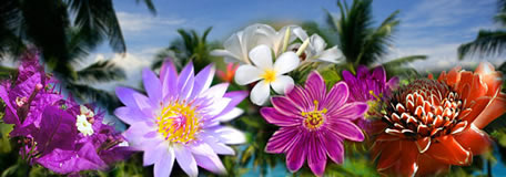 travel with valhalla tours for quality assurance