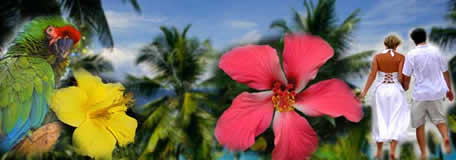 View our packages for tours to beautiful Costa Rica, Belize, and the Cayman Islands today!