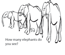 Find how many elephants there are.